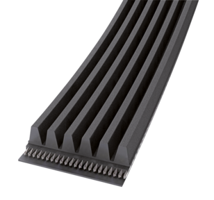 Courroie à nervures en V